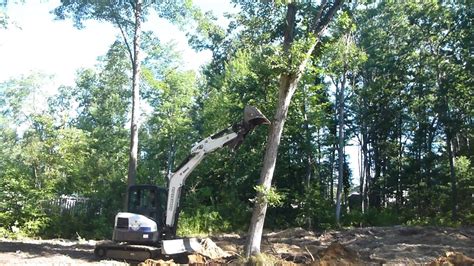 mini excavator for tree work|mini excavator push over tree.